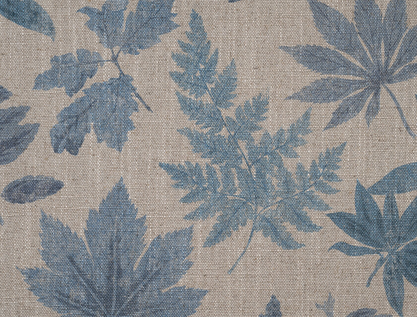 Spill Resistant RHS Foliage: Powder Blue