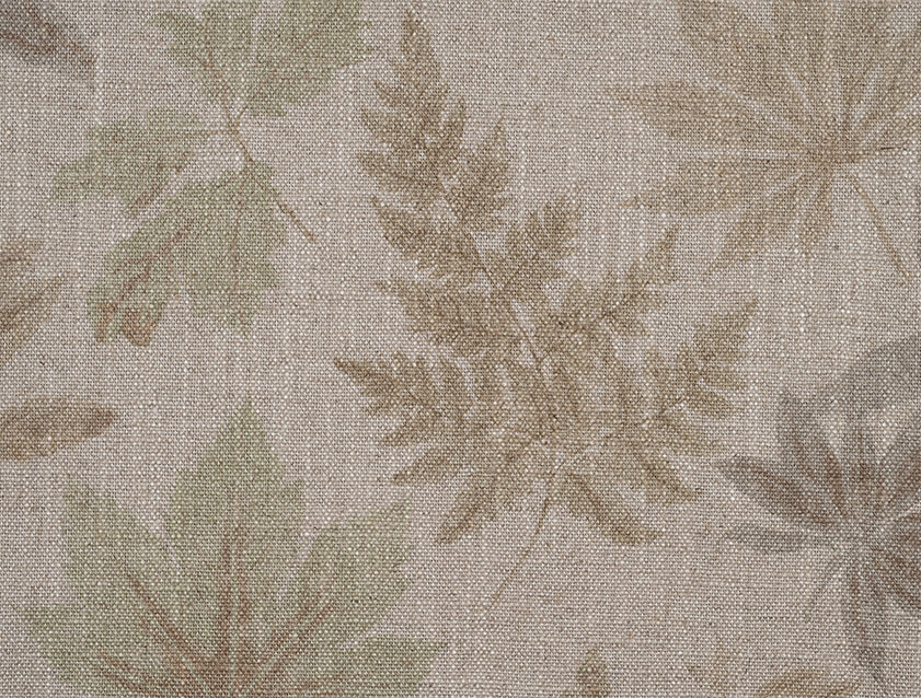 Spill Resistant RHS Foliage: Sage
